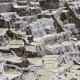 IMG_7370