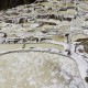 IMG_7394
