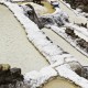 IMG_7444