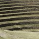 IMG_7632