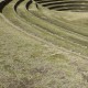 IMG_7635