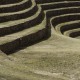IMG_7639
