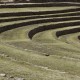 IMG_7644