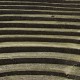 IMG_7660